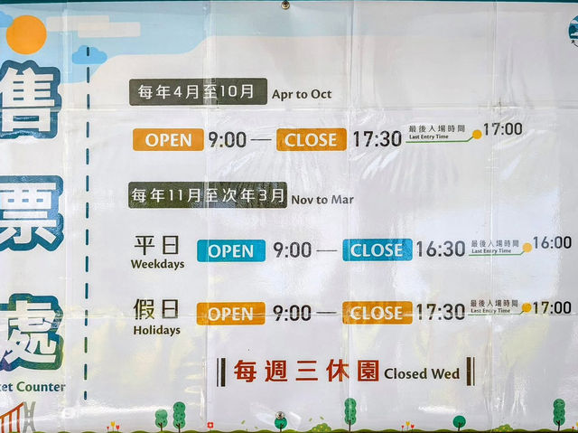 嘉義梅山太平雲梯