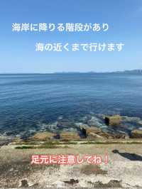 篠島で自然と海を満喫！