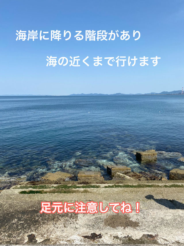 篠島で自然と海を満喫！