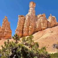 Hoodoos at Sunrise Point – Bryce Canyon NP, UT