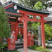 Kochi Castle: A Timeless Beauty