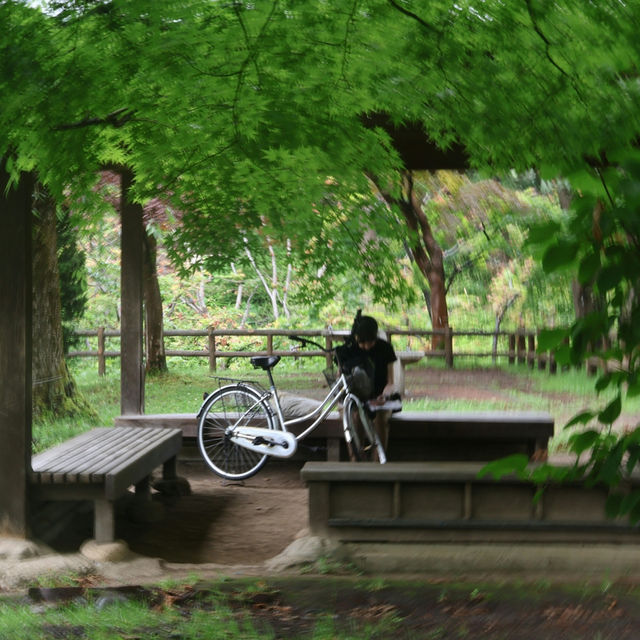 Hirosaki Castle: Northern Japan’s Cherry Blossom Jewel