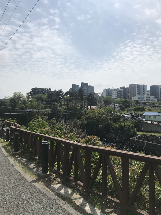 뚜벅이의 제주 혼자여행 마지막 날 🐳