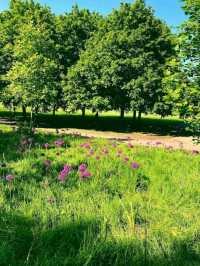 Hove Park