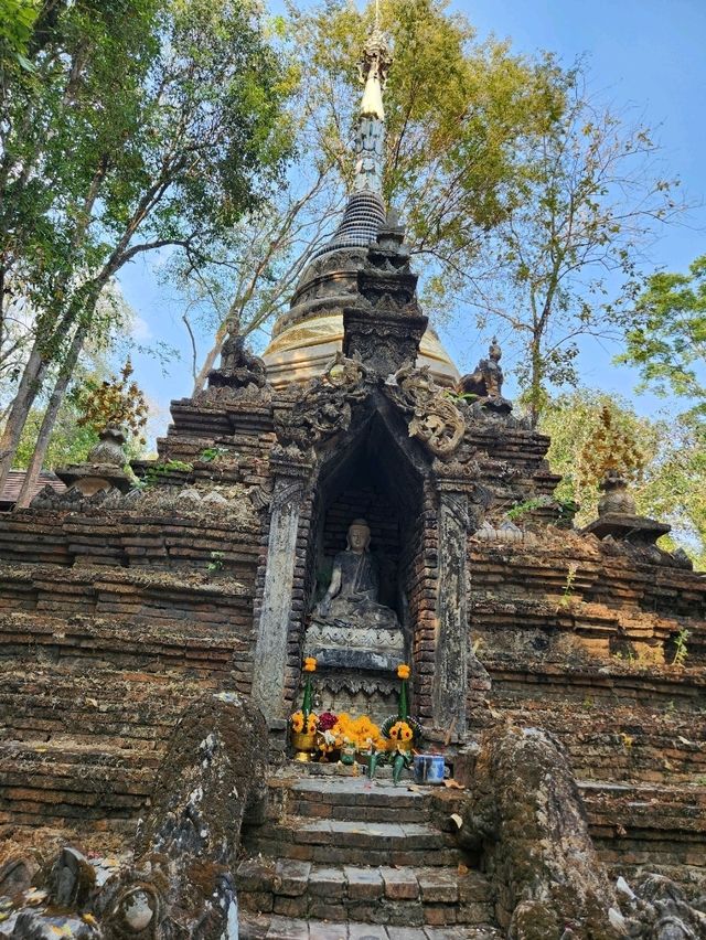 “วัดผาลาด”  เสน่ห์แห่งธรรมชาติและศรัทธาบนดอยสุเทพ