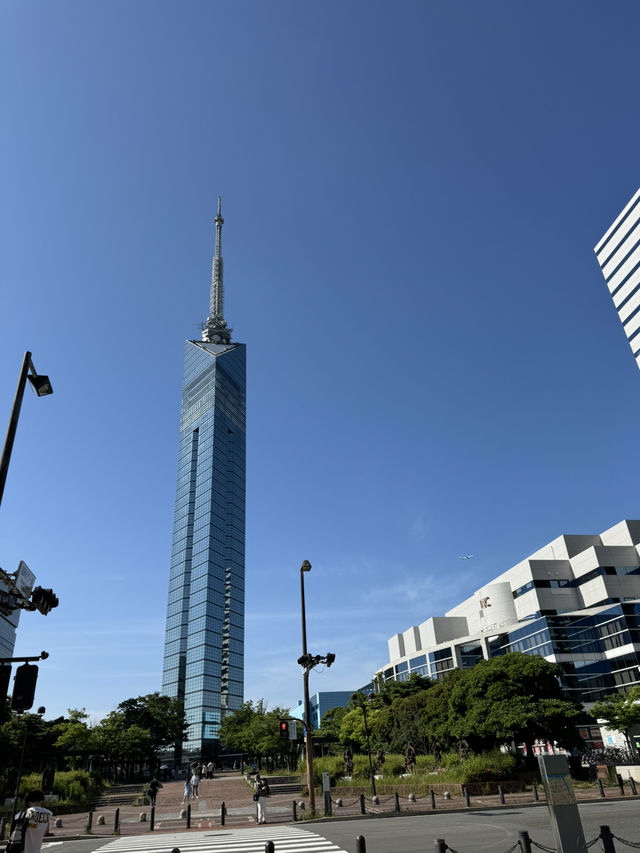 🗼 후쿠오카 타워, 바다와 함께하는 전망! 