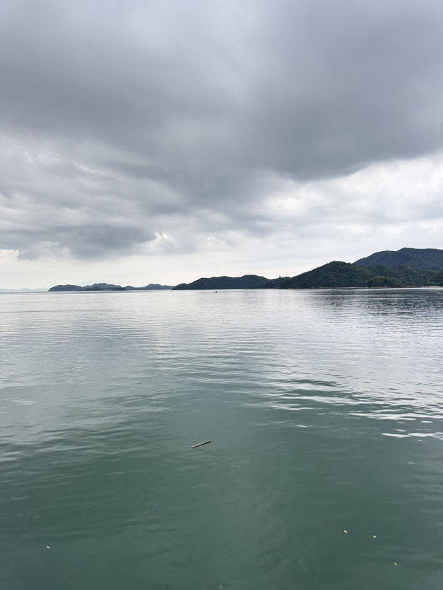 【深圳】 燈塔圖書館：全深圳最靠海的白色圖書館