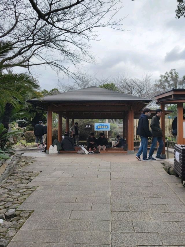 Umi Jigoku เที่ยวบ่อน้ำพุร้อน Beppu เที่ยวญี่ปุ่น