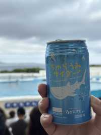 絕佳親子景點！美麗海水族館＋Emerald Beach 一日遊體驗分享