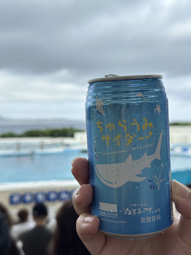 絕佳親子景點！美麗海水族館＋Emerald Beach 一日遊體驗分享
