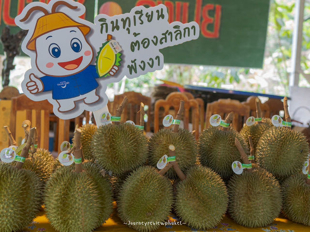 กินทุเรียน...ต้อง “สาลิกาพังงา” เท่านั้น!