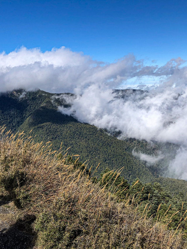 桃山｜武陵四秀中最秀麗的百岳之一 