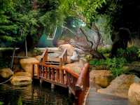 the Gardener Cafe
