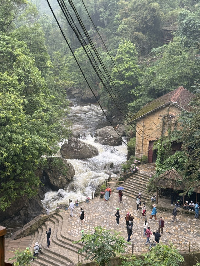 沙唄市必去的貓貓村