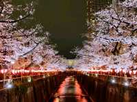 sumida park