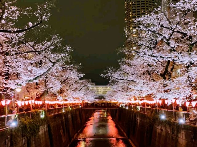 sumida park