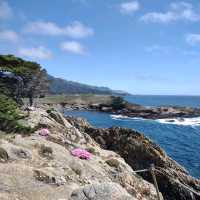 Point Lobos State Natural Reserve – Carmel-by-the-Sea, CA