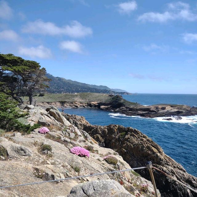 Point Lobos State Natural Reserve – Carmel-by-the-Sea, CA