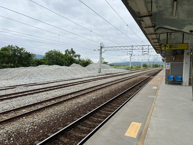 池上車站｜穀倉意象的日系木造車站，鐵道迷必遊的台東地標 