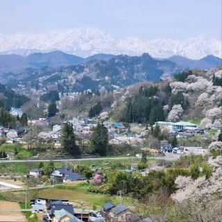 Quiet Blossoms, Big Views in Ogawa Village