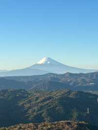 東京｜交通攻略｜大室山經典旅遊路線