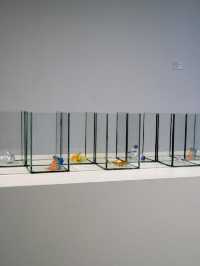Iris77 Art Thesis Exhibition