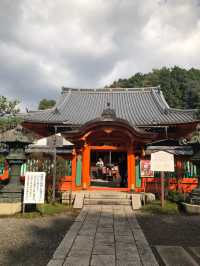 【京都・山科】  知る人ぞ知る絶景寺院「毘沙門堂門跡」で、静かで美しい京都時間を🍁🌸