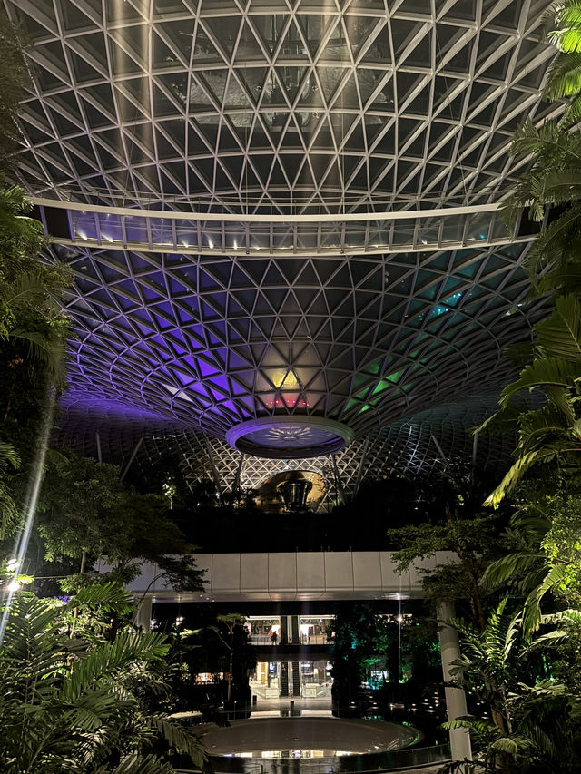【シンガポール】深夜便の方要注意⚠️チャンギ空港での過ごし方