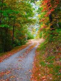 Appalachian Trail – USA 