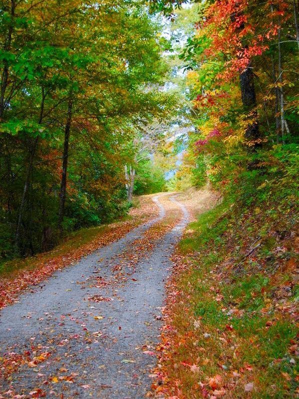 Appalachian Trail – USA 