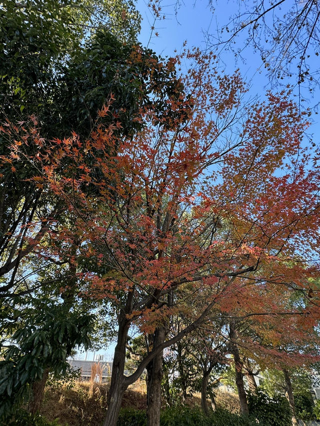 黑門市場｜在地食材與伴手禮的寶庫