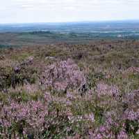 Slieve Bloom Mountains – Ireland’s Hidden Highlands