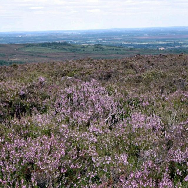 Slieve Bloom Mountains – Ireland’s Hidden Highlands