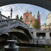 Ljubljana’s Riverside Blossoms