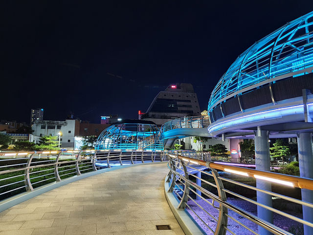 대전 목척교 빛의다리, 밤 산책 명소📸
