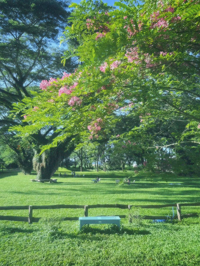 📍โรงบ่มริมน้ำน่าน hidden gem อีกแห่งของน่าน