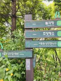 Namsan Jarak Sup-gil: A Verdant Urban Escape for All 