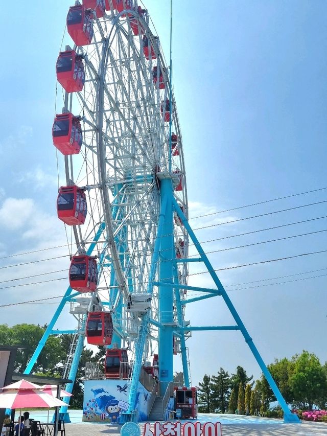 이건 꼭 타보세요! 사천바다케이블카🚡