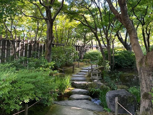 Spring Wanders in Koko-en Garden