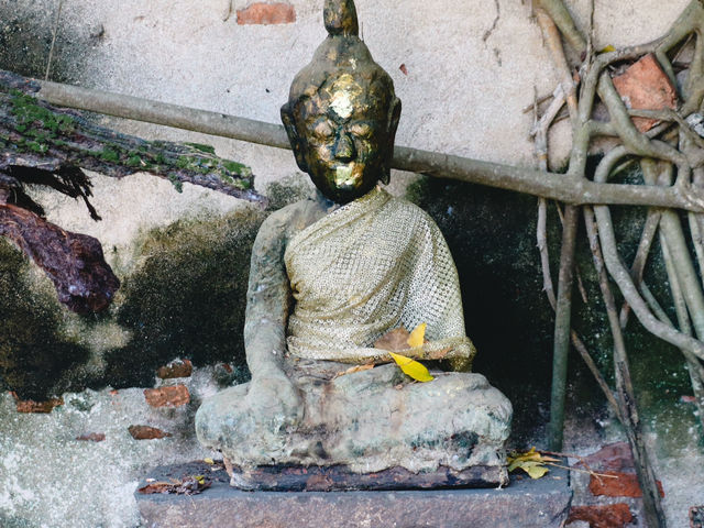 วัดบางกะพ้อม