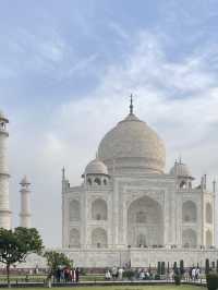 【インド】サリーで巡る絶景！✨憧れのタージマハルへ👸🕌