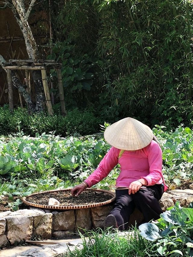 4D3N Chill Trip in Sapa 
