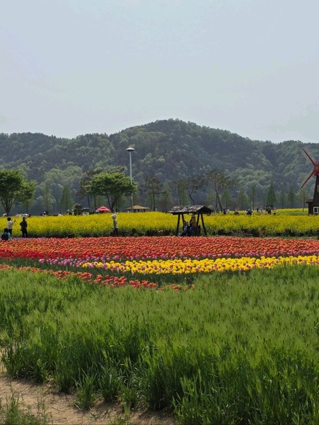 봄바람과 꽃길이 인생샷 배경이 되는 순간