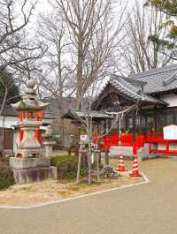 [🇯🇵三原] 大島神社：静かな自然に包まれた神聖な場所