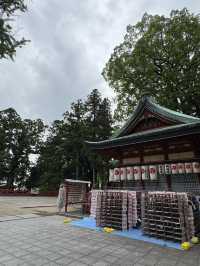 【大分旅行】別府では有名なパワースポット⛩見どころが多い神社⛩