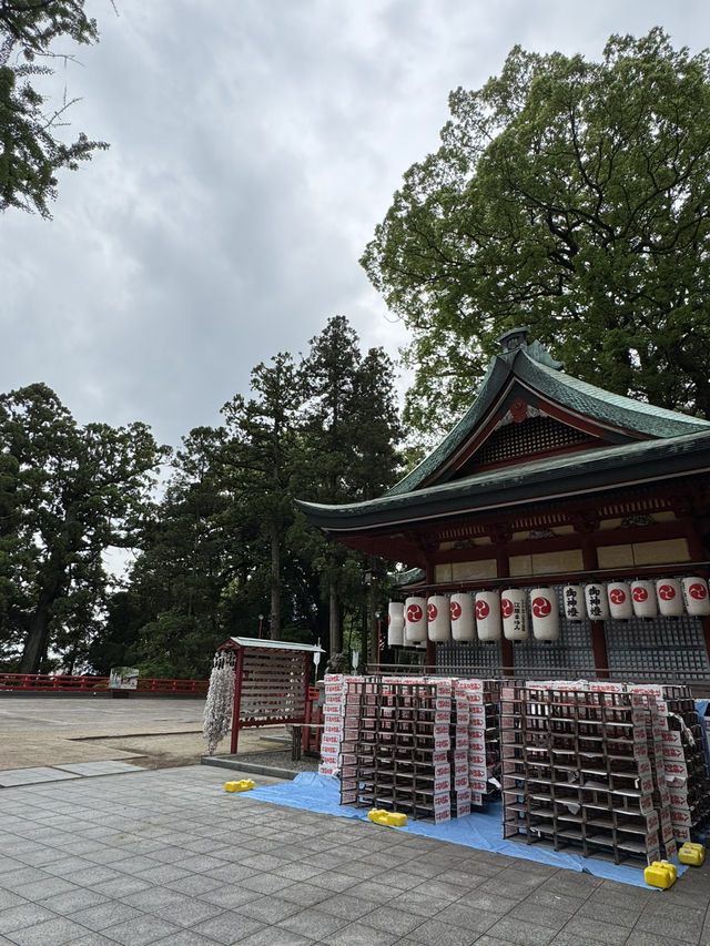 【大分旅行】別府では有名なパワースポット⛩見どころが多い神社⛩