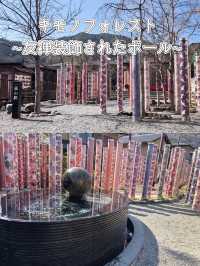 【京都 文化と和を堪能】体験して思い出作ろう