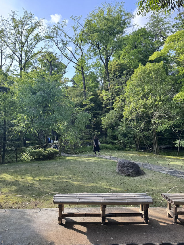 도쿄 오모테산도 정원이 멋진 미술관,네즈미술관