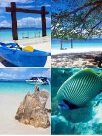 お財布に優しく、心には贅沢。シミランで賢く海の世界を楽しもう！🌊🐠✨