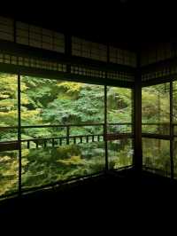 🍃🪞**【瑠璃光院（るりこういん）】 一枚の写真に、永遠の美しさを。